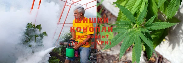 гидра Алексин