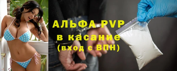 гидра Алексин