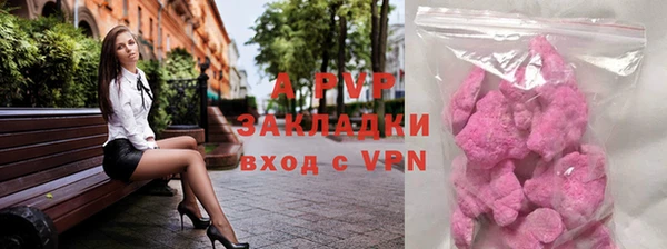 гидра Алексин