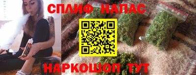 apvp Пугачёв