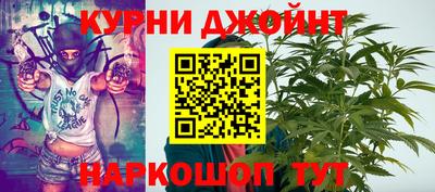 apvp Пугачёв