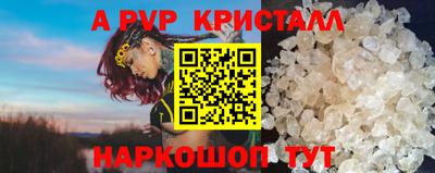 apvp Пугачёв