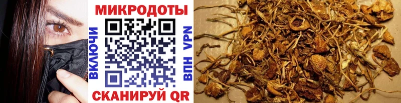 Галлюциногенные грибы Magic Shrooms  Чайковский 