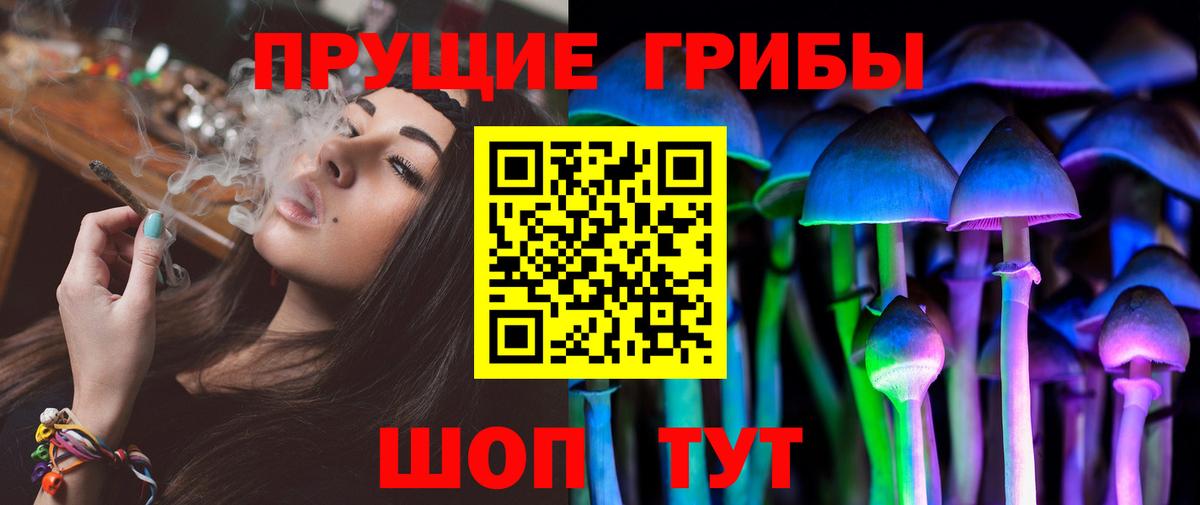 Псилоцибиновые грибы Magic Shrooms  Галлюциногенные грибы GOLDEN TEACHER  купить  цена  Вход с VPN  Чайковский 